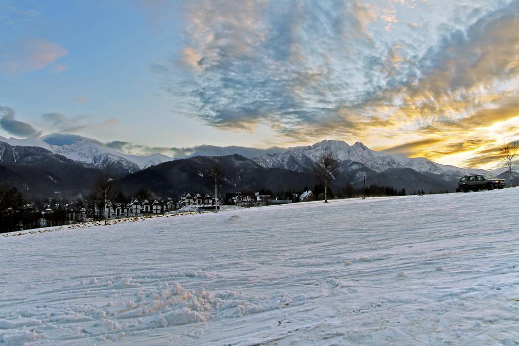 Willa Borowianka Zakopane Esterno foto